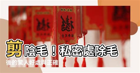 陰毛剪|私密處除毛，你一定要知道的 10 個重要觀念